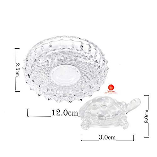 SAUDEEP INDIA Vastu Feng Shui Crystal Turtle Tortoise with Plate for Good Luck Feng Shui Tortoise Turtle (Regular Quality)