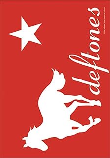 Deftones White Pony Poster Flag