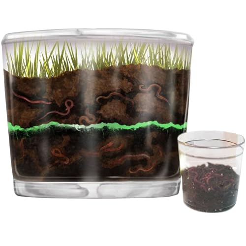 Worm Farm for Kids Shipped with Live Worms - Observation Kit with Ecosystem Soil Mixing Sand Magnifying Glass & More from Nature Gift Store