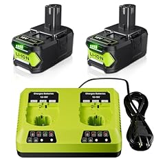 P108 8000mAh + Dual Charger