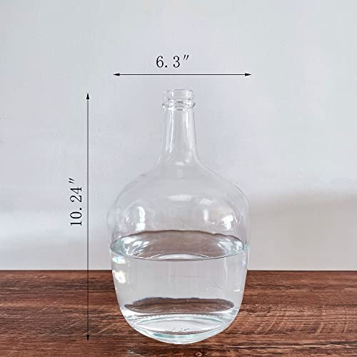 BUICCE Small Clear Glass Jug Vase Round Flower Decorative Bubble Vase for Pampas Grass Farmhouse Decor - Image 2