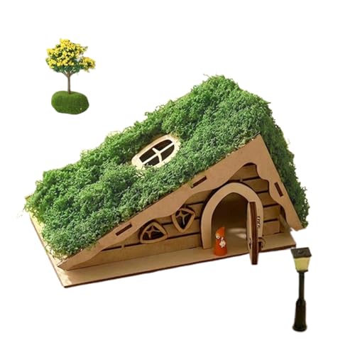 Maisons de jardin de conte de fées : kit de miniatures en bois pour décor de table et étagère