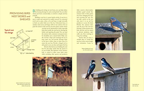 Gardening For The Birds: How To Create A Bird-Friendly Backyard #TOP6