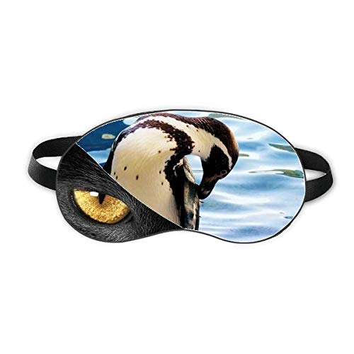 C͓ɂ̃yMȊw͎R̎ʐ^ xݖڂ̎Ռe