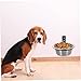 balacoo 5 Sets Wall Mounted Elevated Dog Bowl Dog Food Bowl Dog Cage Dog Bowls Small Dog Crate Raised Dog Bowl Dog Bowl on Wall Raised Cat Food Bowls Puppy Water Bowl Pet Food Bowl Folding