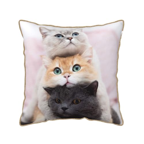 Housse de coussin en velours durable et confortable trois chats - 2