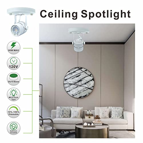 Arcfox Flush Mount Ceiling Spotlight Indoor Fixture Gu10 Mr16 Directional Round Track Lighting For Living Room Bedroom (Bulbs Not Included) #TOP1