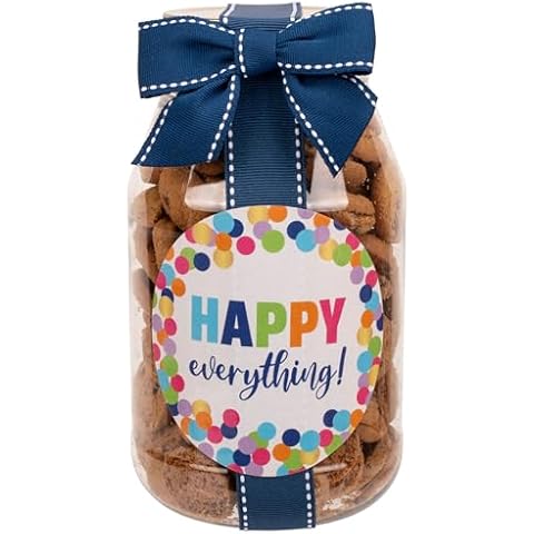 100 North Oh Sugar Sweets Happy Everything - Multicolor Confetti Dot 10 Ounce Plastic Quart Jar Mini Chocolate Chip Cookies Cover