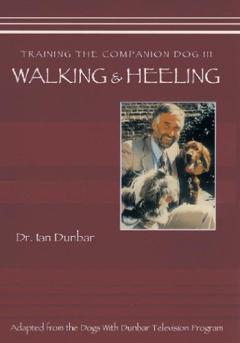 Training the Companion Dog 3: Walking & Heeling
