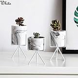 Número de modelo: DG452 CTOBB Planta de Hierro Florero Soporte Soporte de Maceta Mármol Cerámica Maceta Estante Estante Jardín, Blanco, Mediano