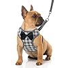 Rypet Small Dog Harness and Leash Set – No Pull Pet Harness with Soft Mesh Nylon Vest for Small Dogs and Cats Gray M