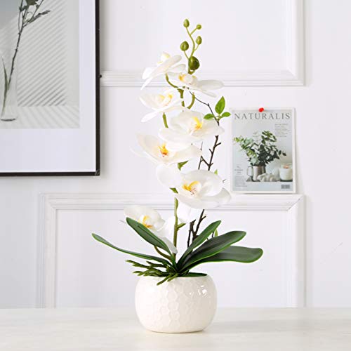 ENCOFT Flores Artificiales Plástico Flor de Phalaenopsis Realista Orquídea Mariposa con Maceta Imitación Cerámica Decoración (Blanco 1, 45cm)