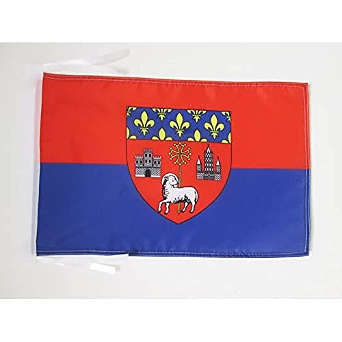 AZ FLAG, City of Toulouse Flag, 18'' x 12'', 100% Polyester Toulouse Small Banner with Two Cords, Fade Resistant