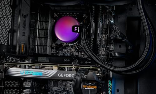 3XS Melius Variations - Image 4