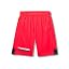 (600) Red / Black / Mod Gray