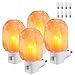 4 Pack Himalayan Salt Lamp Night Light, Hand Craved Natural Salt Rock, ETL Certified Wall Plug with E12 Base, Amber White Light for Ambiance Lighting, Decoration, Yoga, Air Purifying
