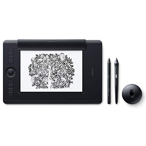 Wacom Intuos Pro ワコム ペンタブ Mサイズ PTH-660 411pG-0QQaL.jpg