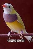  Cuaderno de notas Diamante de gould: Diario de composición con líneas. Cuaderno de Diamante de gould 100 páginas.