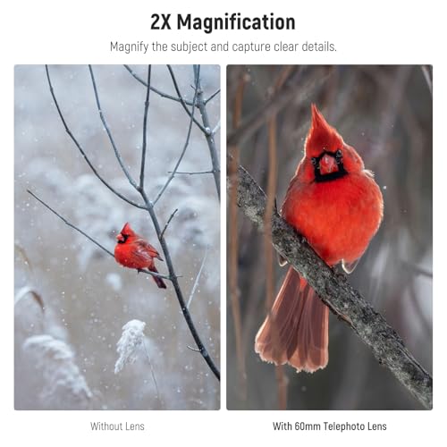 NEEWER 60mm Telephoto Lens with 2X Magnification 17mm Screw Lens Clip and 67mm Filter Adapter Ring for Smartphone Lens and Camera Lens Compatible for iPhone Samsung LS-41 PRO