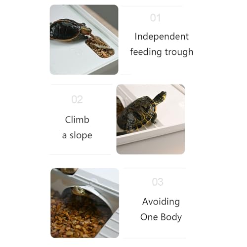 Terrarium Tortue avec Plateforme de Séchage et Grand Aquarium