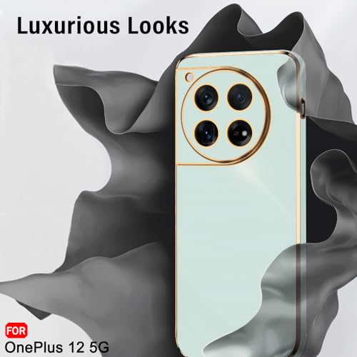 Image of TheGiftKart Luxurious Golden-Plated Back Cover Case for OnePlus 12 5G | Raised Lips for Camera & Screen Protection | Shockproof Design | Stylish Back Cover Case for OnePlus 12 5G (TPU, Green)