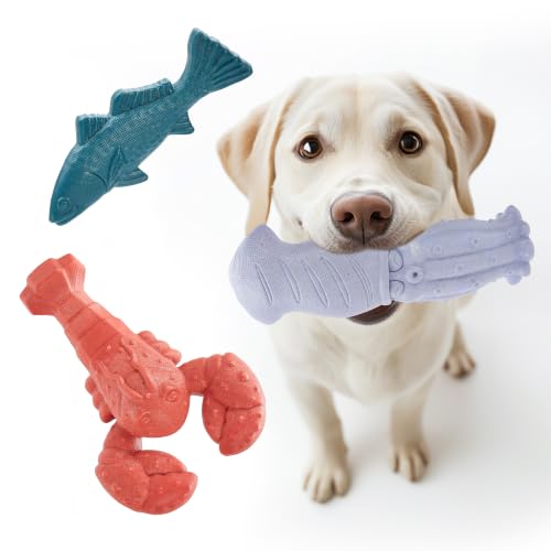 Image of Kimee Dog Toys for Aggressive Chewers, 3 Pack Indestructible Dog Chew Toys | 3 Pack Indestructible Dog Chew Toys, Super Chewer Toys with Tough Nylon Teeth Cleaning & Training, Boredom Relief, Keep Busy