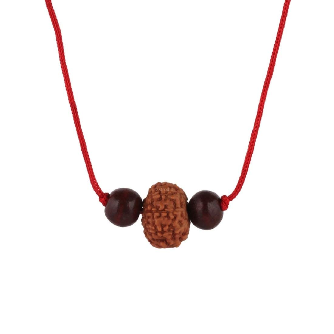 ASTRODIDIASTRODIDI 10 Mukhi Rudraksha Ten Face Rudraksh Java Small Size with Red Chandan Beads (Brown)