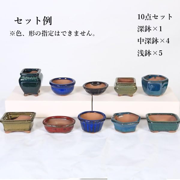 Amazon.co.jp: 鉢：中国小鉢10点セット 2.5号-A*資材 佐川急便 : DIY