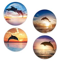Dolphin Sunset
