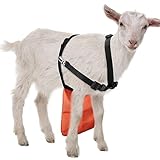 kajaia Goat Apron Anti Breeding Sheep Skirt Control Buck Anti Mating With Adjustable Strap For Goats And Sheep (Orange,M)