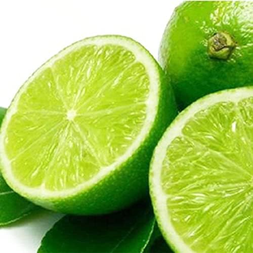 Haloppe 20 piezas de semillas de frutas de limón para plantar en ...
