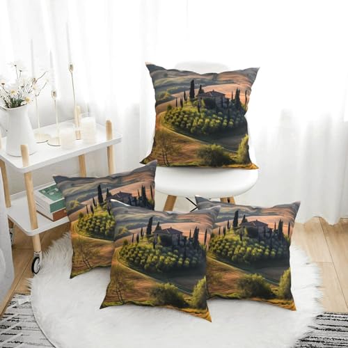 Housses de coussin décoratives pour canapé : transformez votre salon facilement - 3