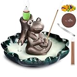 Cute Frog Incense Holder,Incense Waterfall Burner & Incense Holder for Sticks,Ceramic Incense Burner