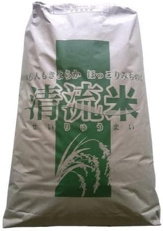 売り尽くし【令和6年産】 【玄米30kg】【検査1等米】 宮城県 登米産 ひとめぼれ