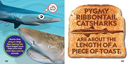 Weird But True! Sharks - Image 4