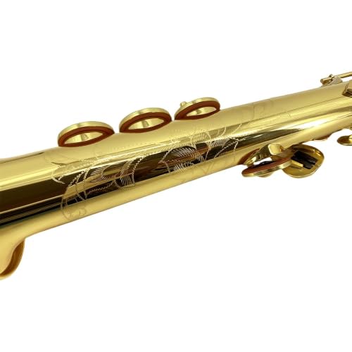 Image of Soprano Saxophone Straight Bb B Flat Brass Straight Soprano Saxophone with Case, Mouthpiece,Reeds & Accessories Brass Woodwind Instrument for Beginners,Adults & Advanced Players
