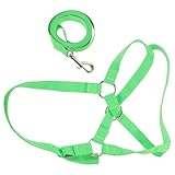 YARNOW Adjustable Nylon Halter with Traction Rope for Cattle, Goats, and Miniature Horses for Livestock