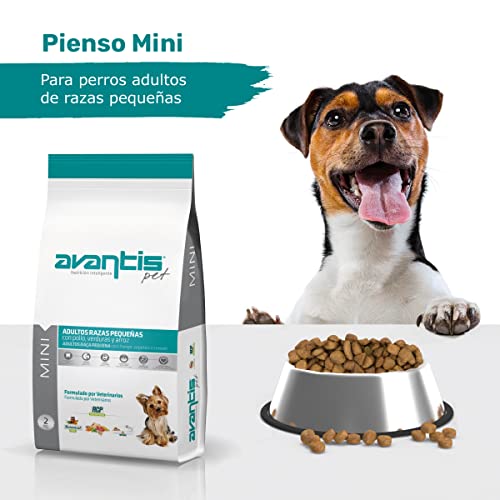 Avantis Pet Mini Futtermittel für Erwachsene Hunde Kleiner Rassen, 2 kg, dreifacher Aktion, fördert das Immunsystem und die Verdauung, sehr verdaulich mit Huhn, Gemüse und Reis