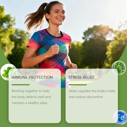 Moringa gélules concentration énergie naturelle complément 2PCS