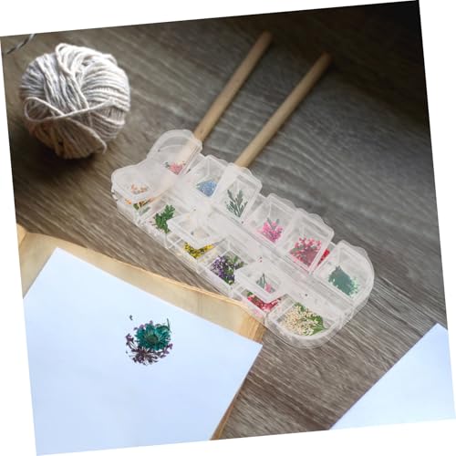Flores naturales secas para manualidades DIY, set 3 cajas miniatura 7