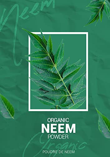 Natural Organic Neem Powder, Purifying For Smooth, Clean And Refreshed Skin #TOP1