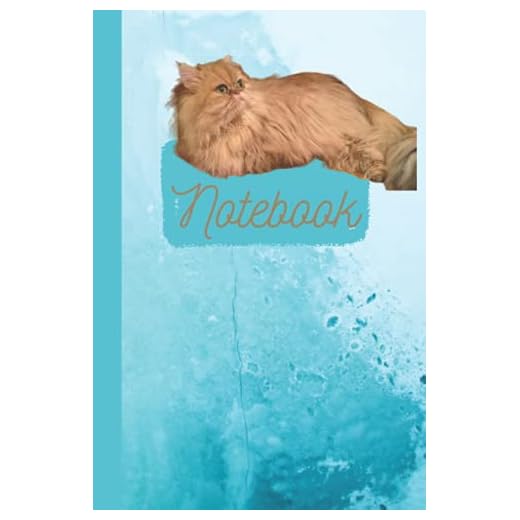 Golden Chinchilla Persian Blue Notebook