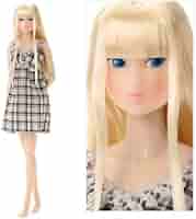 激レア❗ Wake-Up momoko DOLL WUDsp Azone002 Amazon.co.jp: Wake-Up momoko DOLL WUDsp Azone002 : おもちゃ