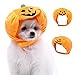 Micacorn Costume d'halloween pour Animal Domestique, Chapeau Halloween Citrouille pour Animal Compagnie, Drôle Chapeau Citrouille Réglable pour Halloween Décoration Fête Chats et Petits Chiens (S)