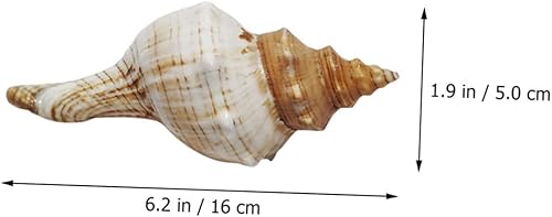 Miniatura 4 de Decoración de conchas para pecera, conchas marinas gigantes, conchas oceánicas, decoración de fiesta temática de playa, mariposas decorativas para