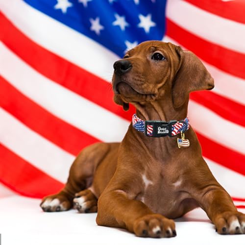 Image of Independence Dog Collar-USA Flag Print Pet Collar Adjustable Cute Soft Comfortable Cotton Collars Holiday Puppy Collar Gift for X-Small Dogs
