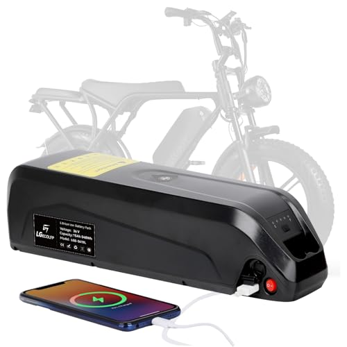 LGECOLFP 36V 10Ah 15Ah 20Ah B-attery Pack with USB Port 30A BMS for 36V C ontroller 250W 350W 500W 750W Motor
