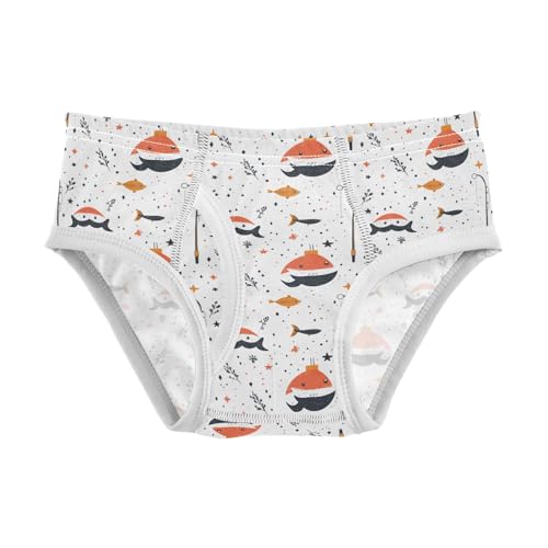 Yuiboo Boys' Underwear Soft Cotton Comfort Waistband Briefs for Baby Boys A Father's Day in Sizes 2T