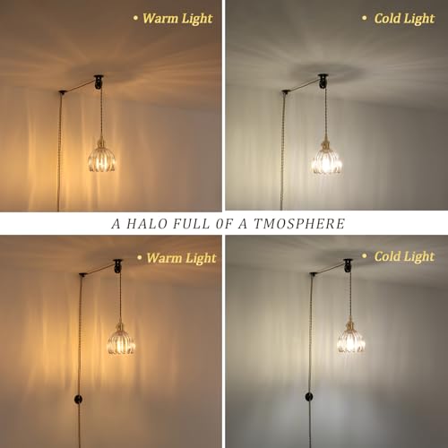 Image of Shenmoyl Plug in Pendant Light Hanging Light Fixture Corded On /Off Switch Brass Pendant Light with Amber Tulip Glass Lampshade for Bedroom Living Room Kitchen Island