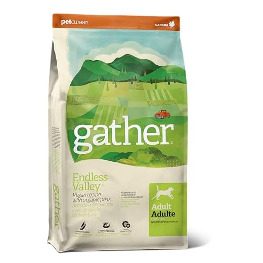 GATHER Endless Valley Vegan Dry Dog Food with Grains, Healthy Plant-Based Kibble Made with Organic & Non-GMO Ingredients, Chicken-Free for Sensitive Stomachs, for Adults & Seniors, 16 lb Bag